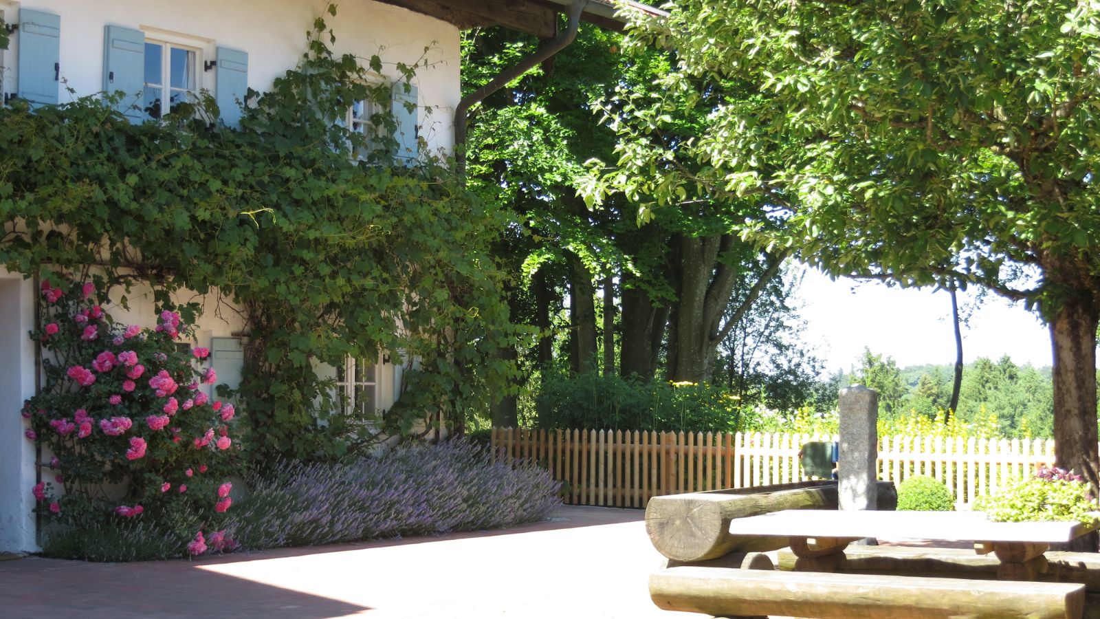 Hausansicht mit Blumenranken und Hof mit Sitzbank
